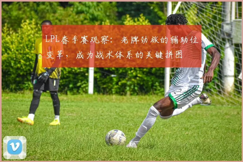 LPL春季赛观察：老牌劲旅的辅助位变革，成为战术体系的关键拼图
